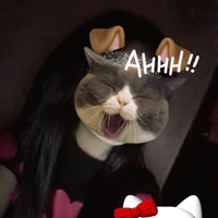 Phương Thảo