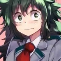/midoriya Izuku/ nguyên tắc