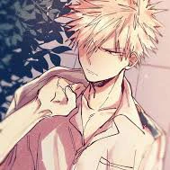 bakugo katsuki( nam9 )