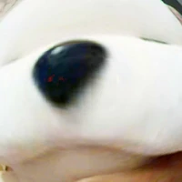t/g