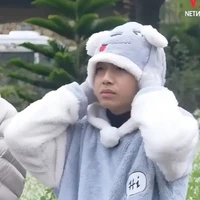 Haan