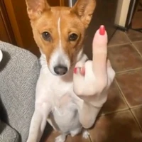 All (tự trừ đi)