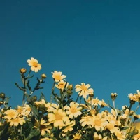 •[°Hệ thống _0707_°]•