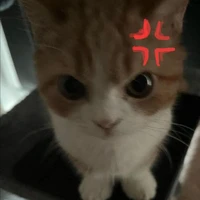 Zy đeee