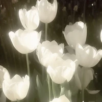 All{-trừ những người cần trừ}