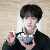 Tả Kì Hàm 15t