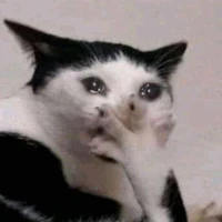 tg 12 lỗ đít