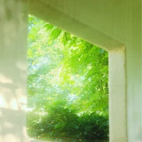 nhân vật phụ