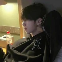 Trần Dịch Nam Viễn