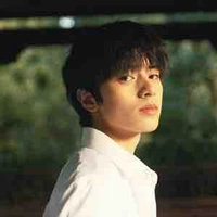 Nguyễn Cự Giải D