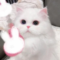 Hệ Thống Thần Miêu