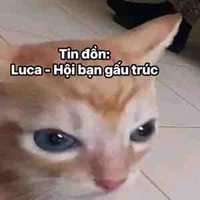 Những người có mặt lúc đó