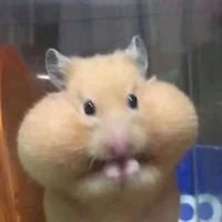 Mimi mũm mĩm