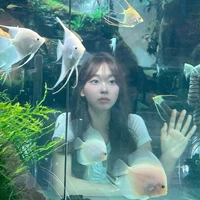 Bạn