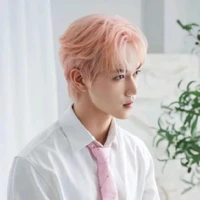 Nguyễn Thái Sơn <con bà 4>