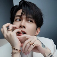 Bùi Anh Tú < Con hội đồng Bùi>