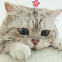 Con tác giả nè