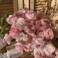 Đồng Hạ Nhi