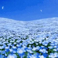 All(trừ người cần trừ)