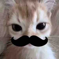 Mrow (t/g aka diễn vân quần chúng)