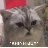 [Hệ thống] 811