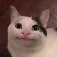 Hệ thống ( choco )