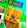 Bí ngô