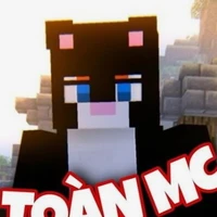 Toàn mc