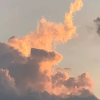 All (trừ ai thì trừ)