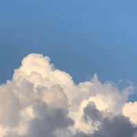 Nhóm em