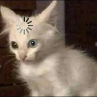 Ai đó ko bt nữa hãy đoán đi!!