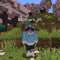 big shark