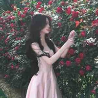 Hạ Vy