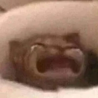 cân mọi nv ( trừ ai thì trừ)