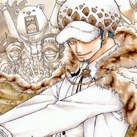 Trafalgar Law