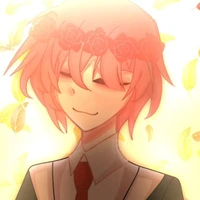 tt hiha