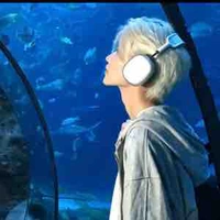  ˚｡⋆ ༘˚✧ Phó Hàn Song Ngư ♓️ 