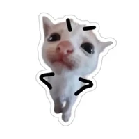 nhỏ t/g