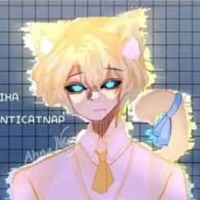 Hiha anti catnap