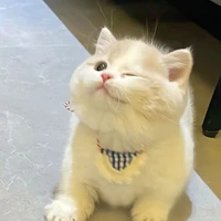 Trânn