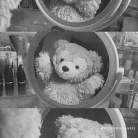  tg cutii