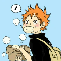 Hinata Shoyo