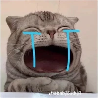 tác giả