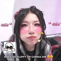 Skibidi Level 5