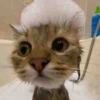 KhanhLinh vợ Rhyder