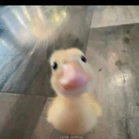 tác giả mới nhú