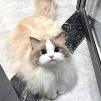 Lucy
