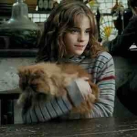 Hermione Granger