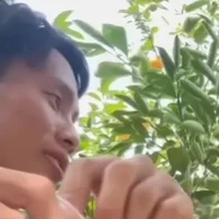 Trương Văn Hảo