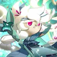 White lily/hoa bạch tạng